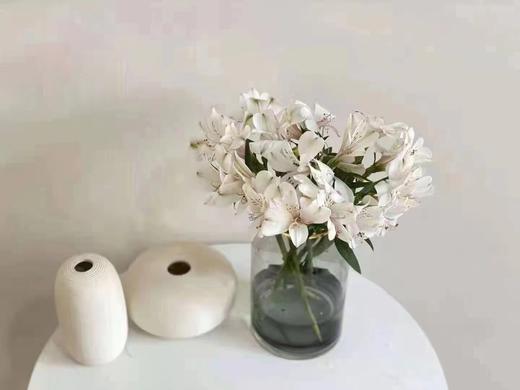 六出花 | 白色 商品图0