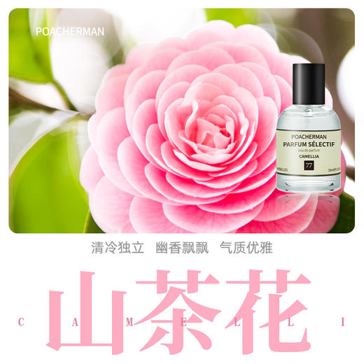 花香味香水淡香水清新花香调香氛女士香女生香水持久留香 商品图9