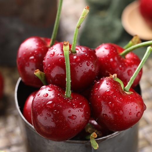 [最农公社]顺丰主推|大连美早1斤2斤3斤5斤（3J-5J）美早大樱桃颗颗鲜甜饱满多汁 商品图2