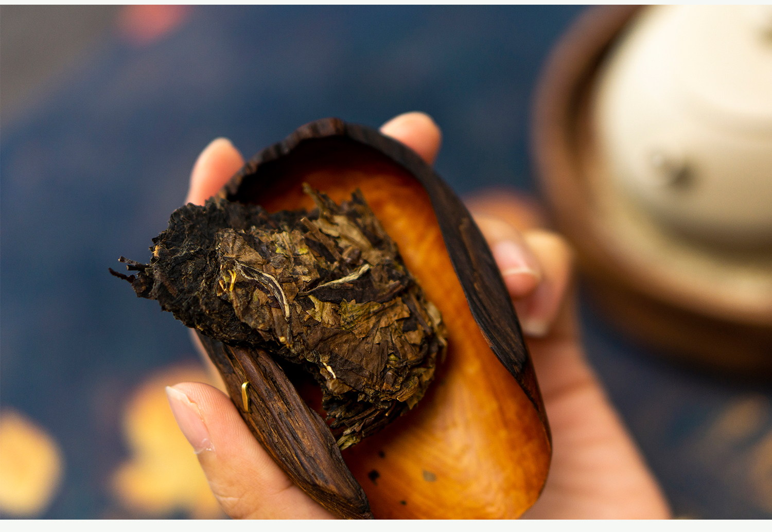 藏茶密室6145藏香云雾寿眉2014年磻溪出口级老白茶3145