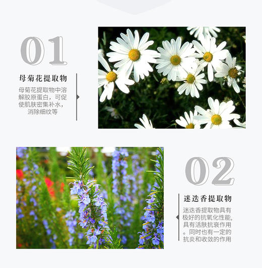 【素颜霜】本活素颜霜懒人面霜保湿裸妆速妆自然提亮遮瑕护肤 商品图3