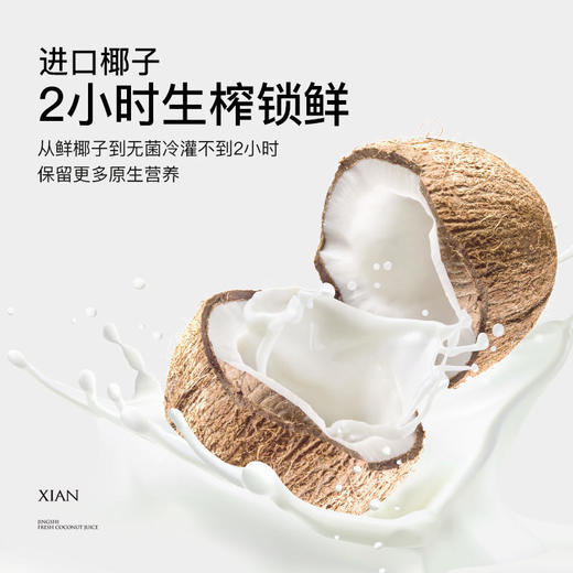 京时生榨鲜椰汁245ml*10瓶整箱生榨无菌椰子汁植物蛋白网红饮料【BPQ】 商品图2