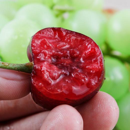 [最农公社]顺丰主推|大连美早1斤2斤3斤5斤（3J-5J）美早大樱桃颗颗鲜甜饱满多汁 商品图1