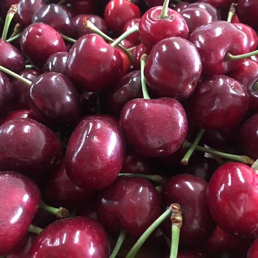 [最农公社]顺丰主推|大连美早1斤2斤3斤5斤（3J-5J）美早大樱桃颗颗鲜甜饱满多汁 商品图8