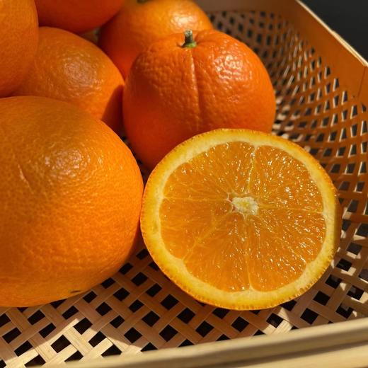 2026年鲜采【伦晚橙】长江边的当季新摘鲜橙 ，果型饱满，果肉嫩滑，茎膜不塞牙，甜中带酸，尤其适合榨汁，维C满满。五斤/十斤装，江浙沪皖顺丰包邮～ 商品图0