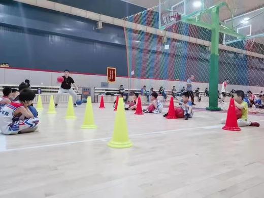 【宏鑫体育@朝阳】19.9元抢3次篮球精品课，科学有效地提升孩子整体的身体素质，动脑能力，反应能力。 商品图2