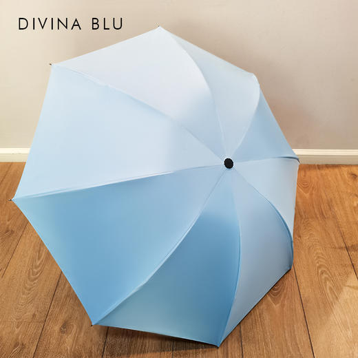 DIVINA BLU 迪唯纳 晴雨两用伞（售后说明：收货15天内支持调换货） 商品图1