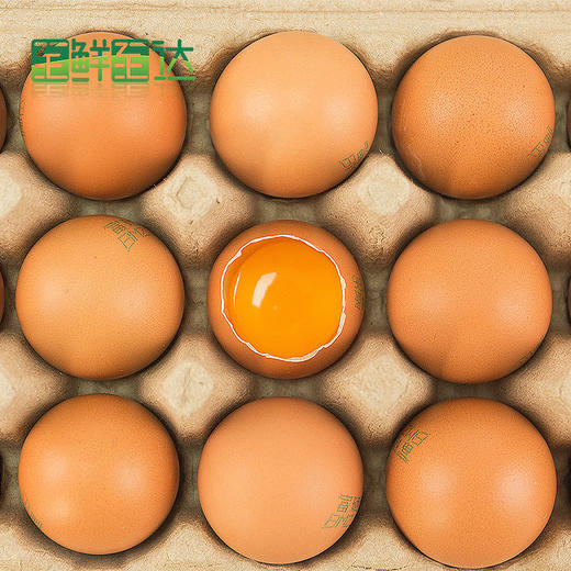 【产地直发包邮】牧族—富硒鲜鸡蛋30枚 商品图2