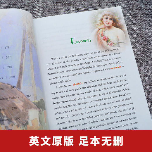 瓦尔登湖 英文 海豚 商品图1