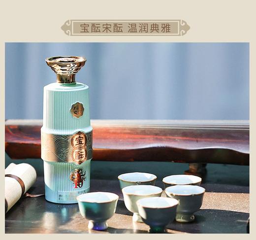 宝酝宋酝酒·10.500ml 商品图1