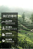 珍品寿眉 京东同款 出口备案基地 2020年 商品缩略图10