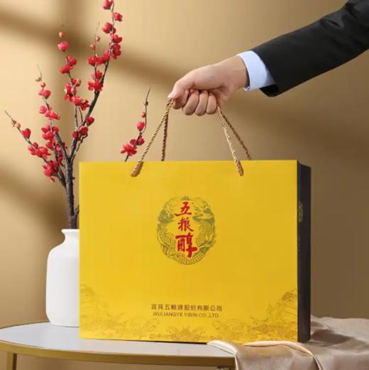 五粮醇酒金装50°500ml*1 商品图2