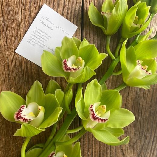 配花-大花蕙兰-绿色 商品图1