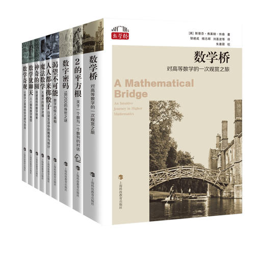 数学桥丛书（全套9册），赠定制帆布袋+数据线挂绳/金属书签（随机） 商品图1