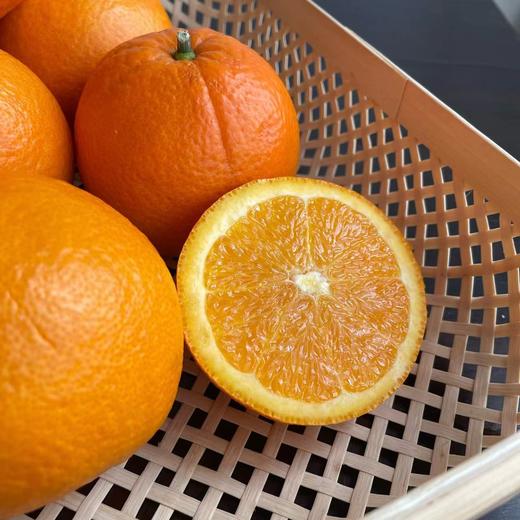 2026年鲜采【伦晚橙】长江边的当季新摘鲜橙 ，果型饱满，果肉嫩滑，茎膜不塞牙，甜中带酸，尤其适合榨汁，维C满满。五斤/十斤装，江浙沪皖顺丰包邮～ 商品图1