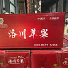 洛川红富士（套袋）净重9斤装（包装请以实际收到的为准）【CZ】 商品缩略图2
