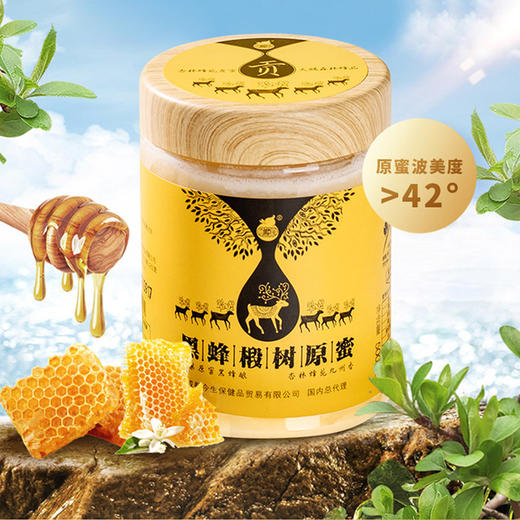 贡蜜  黑蜂椴树原蜜蜂蜜   500g/罐   纯净 原生态  小兴安岭蜜源 商品图4
