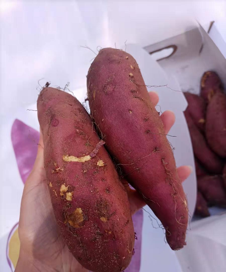 【 安纳芋地瓜】粉糯香甜,香甜可口,吃起来跟蜜一样甜,它的皮真的很薄