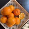 2026年鲜采【伦晚橙】长江边的当季新摘鲜橙 ，果型饱满，果肉嫩滑，茎膜不塞牙，甜中带酸，尤其适合榨汁，维C满满。五斤/十斤装，江浙沪皖顺丰包邮～ 商品缩略图2