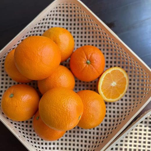 2026年鲜采【伦晚橙】长江边的当季新摘鲜橙 ，果型饱满，果肉嫩滑，茎膜不塞牙，甜中带酸，尤其适合榨汁，维C满满。五斤/十斤装，江浙沪皖顺丰包邮～ 商品图2