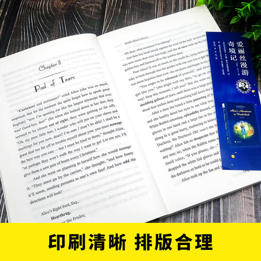 爱丽丝漫游奇境记(附词汇注解)(英文版) 商品图2