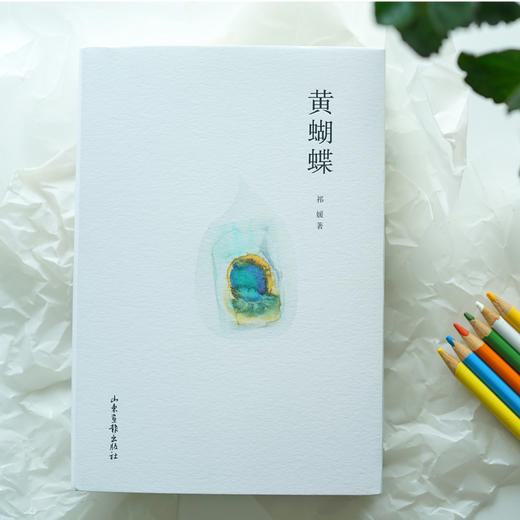 芳华说系列(故事识别+新贵+黄蝴蝶+清歌)(全4册) 商品图3