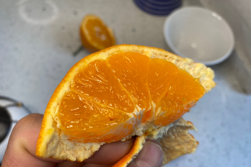 明日见柑橘，细嫩化渣，果味浓郁，发顺丰陆运