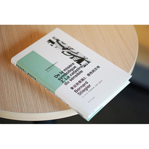 象征的贫困2：感性的灾难//当代激进思想家译丛 商品图3