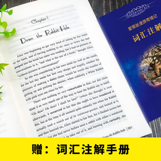 爱丽丝漫游奇境记(附词汇注解)(英文版) 商品图1