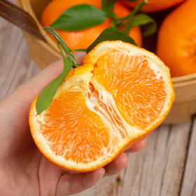 【京东包邮】明日见柑橘 柑橘新贵  5斤/8斤 中果/大果彩箱装