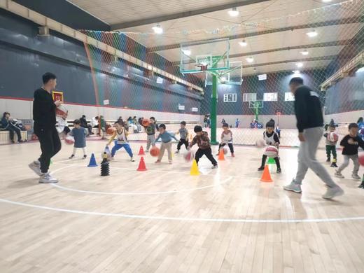 【宏鑫体育@朝阳】19.9元抢3次篮球精品课，科学有效地提升孩子整体的身体素质，动脑能力，反应能力。 商品图6