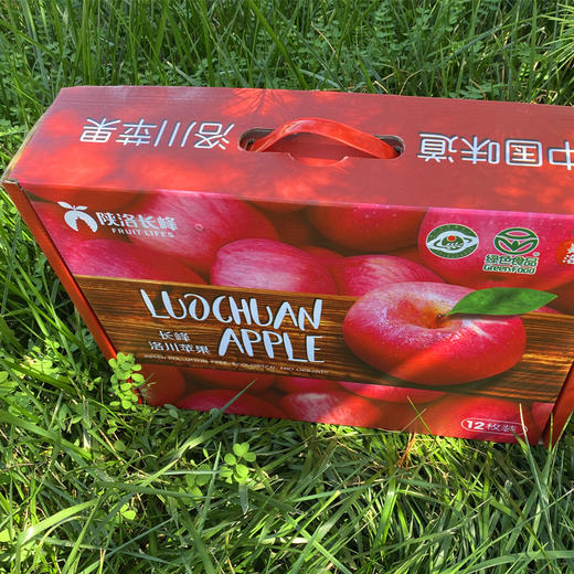 礼盒装 洛川红富士（套袋）12枚（包装请以实际收到的为准）【CZ】 商品图2