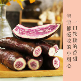 正宗一点红红薯（网红冰淇淋红薯）粉糯香甜糯而不粘 适合蒸煮 农家自种包邮发出
