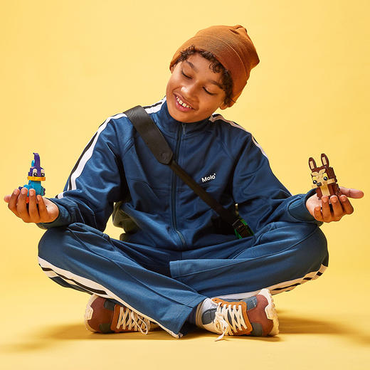 乐高BB鸟与歪心狼40559 商品图3