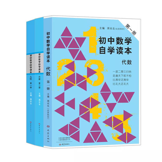 初中数学自学读本套装3册（代数第一册+代数第二册+几何第一册） 周长生 主编 一读二想三归纳 走遍天下都不怕 商品图0