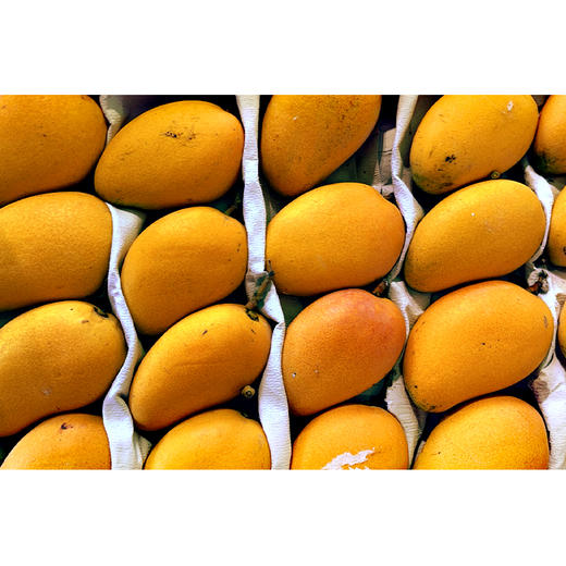 惊爆低价 5.8元一斤500g 小台芒 香甜多汁 一吃上瘾 拍九份满49元+1元即可配送到家 商品图0