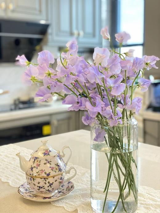 【周四秒杀】紫色豌豆花79.8元 商品图2