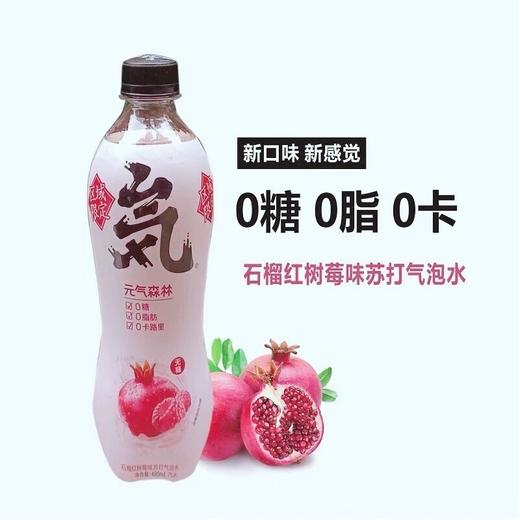【批发】元气森林石榴红树莓味480ml*15瓶0糖0卡0脂气泡水元气森林气泡水 商品图0