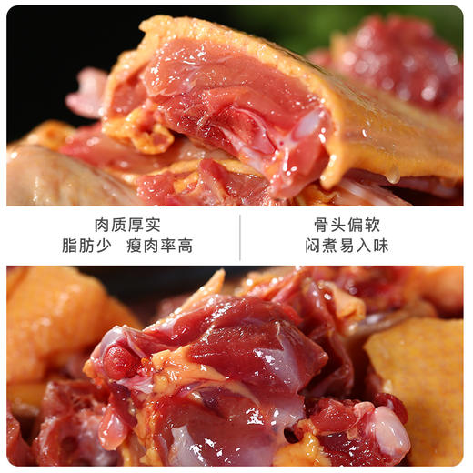 【农家特产】皖北特产 番鸭 5-5.5斤/只 商品图2