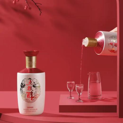 五粮醇酒银装50°500ml*1 商品图3