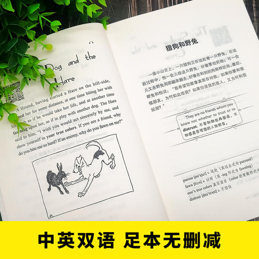 伊索寓言(英汉对照注释版)/振宇书虫 商品图3