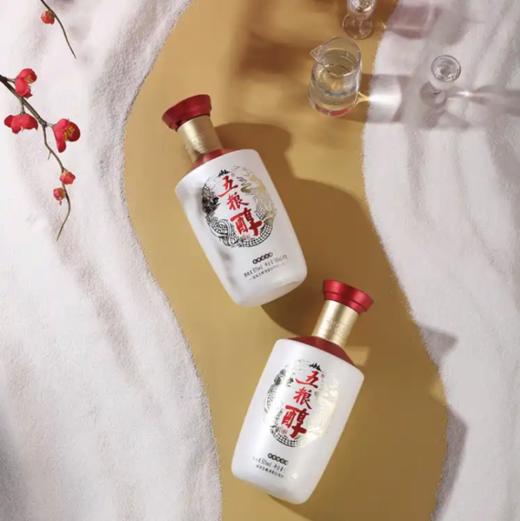 五粮醇酒银装50°500ml*1 商品图2