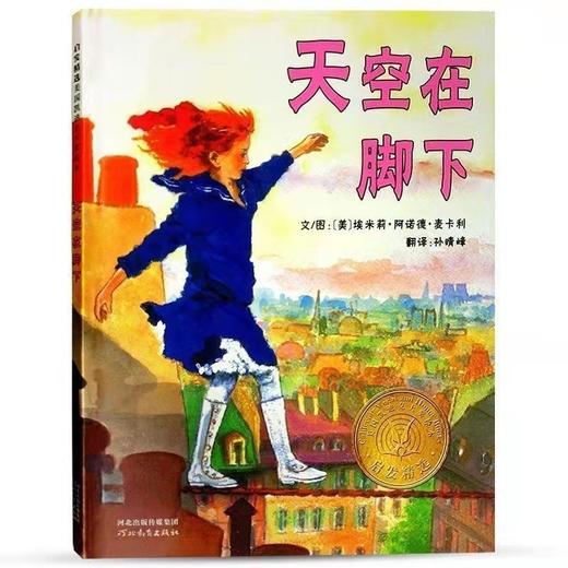 《天空在脚下》绘本故事书 适合3-10岁 商品图1