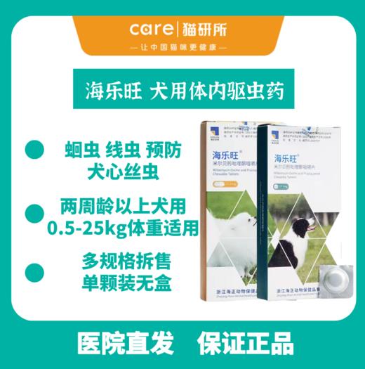 猫研所 海乐旺体内驱虫犬用驱虫药  绦虫线虫心丝虫 商品图0