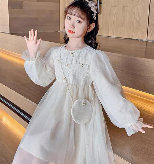 儿童洋气网纱蓬蓬裙 商品图1