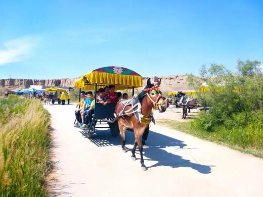 【水洞沟景区】需提前一小时购票。中国史前考古的发祥地，探秘旧石器时代遗址，观土林奇绝景观，长城、峡谷、藏兵洞、城堡、水系，穿越三万年 商品图4