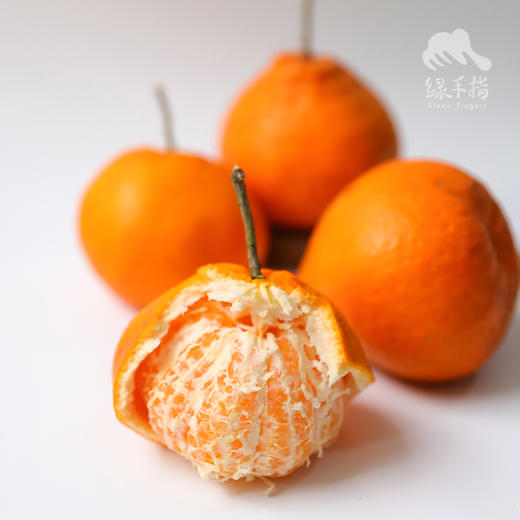 生态蒲江耙耙柑（4月3日下架） | 合作生产 *Eco-harrow orange | Coproduction 商品图7