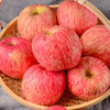 宝宝果 洛川红富士（套袋）净重5斤装 (14-16枚)（包装请以实际收到的为准）【CZ】 商品缩略图4