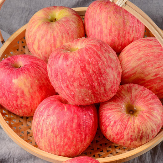 宝宝果 洛川红富士（套袋）净重5斤装 (14-16枚)（包装请以实际收到的为准）【CZ】 商品图4