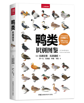 鸭类识别图鉴